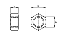 PVDF Hexagonal nut [542]